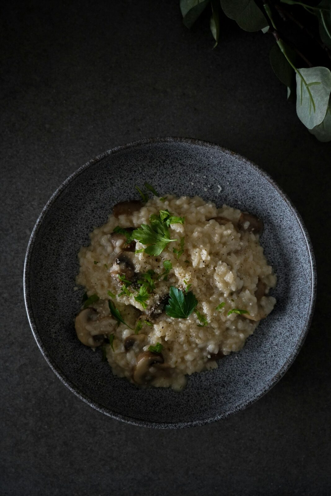 Risotto crémeux aux champignons fraîchement cuisiné